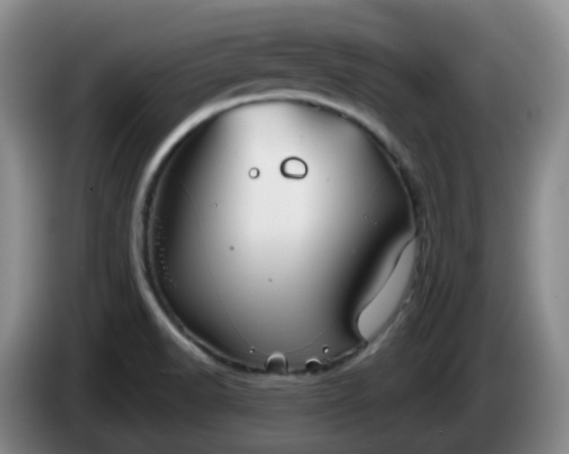 X0000085081518200703121652