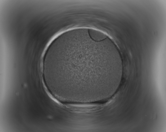 X0000085081519200703121652