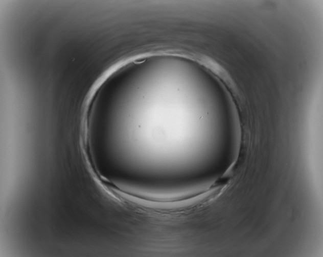 X0000085081520200703121652