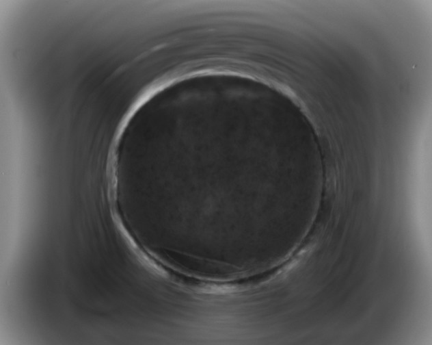 X0000085081522200703121652