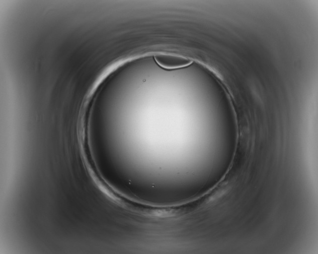 X0000085081523200703121652