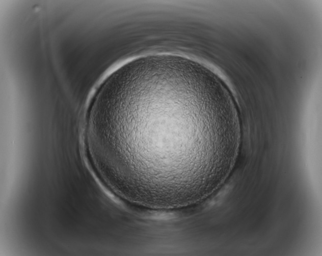 X0000085081525200703121652