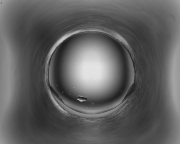 X0000085081528200703121652