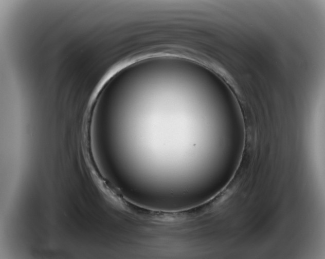 X0000085081530200703121652