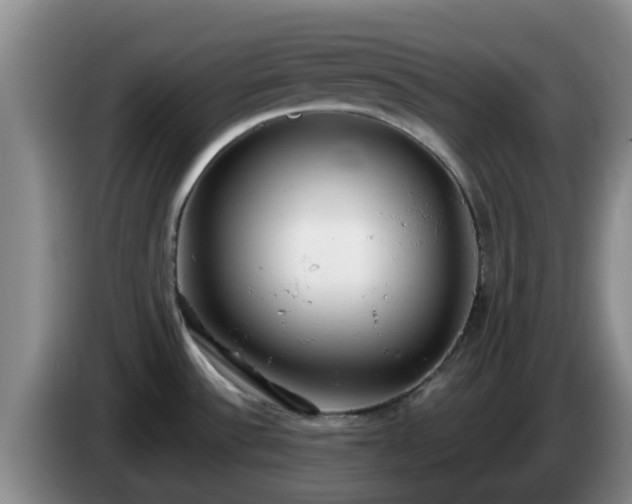 X0000085081532200703121652