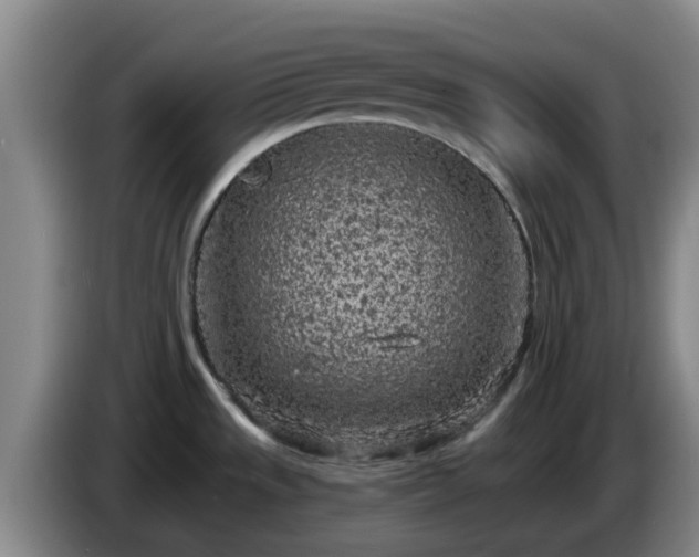 X0000085081533200703121652