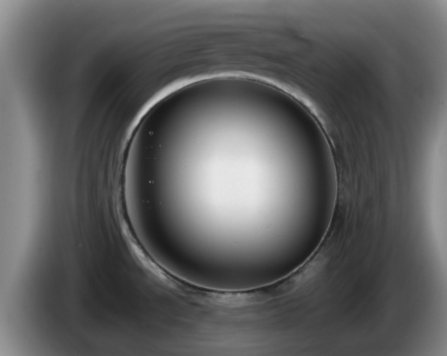 X0000085081534200703121652