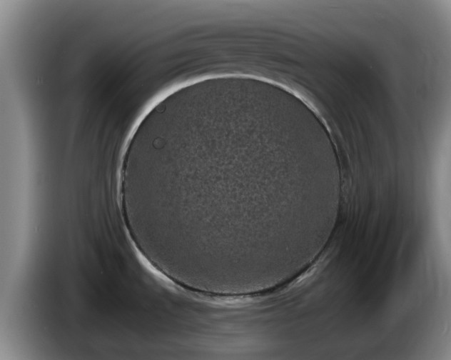 X0000085081535200703121652