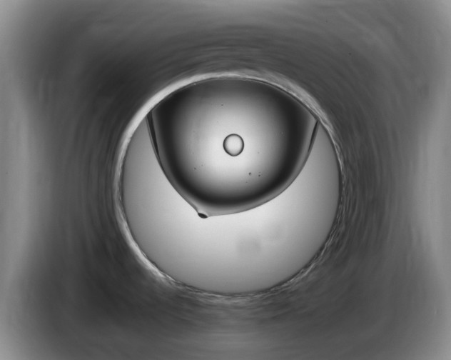 X0000085081536200703121652