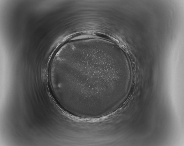 X0000085080002200703191335