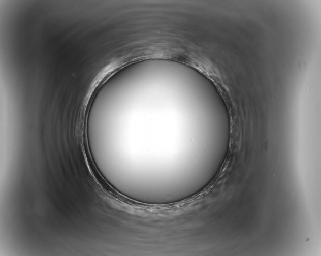 X0000085080003200703191335