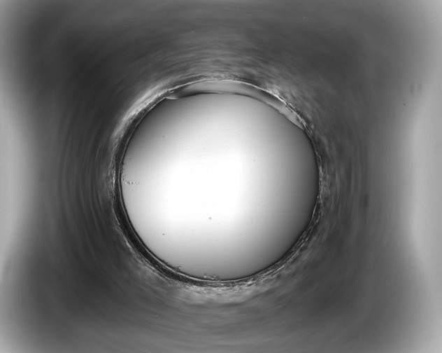 X0000085080005200703191335