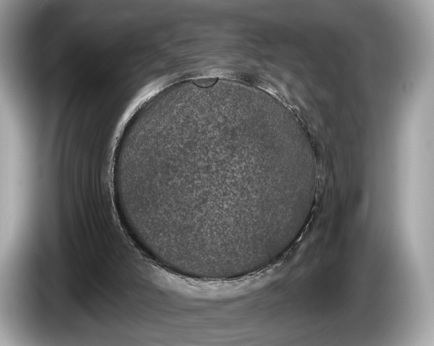 X0000085080006200703191335