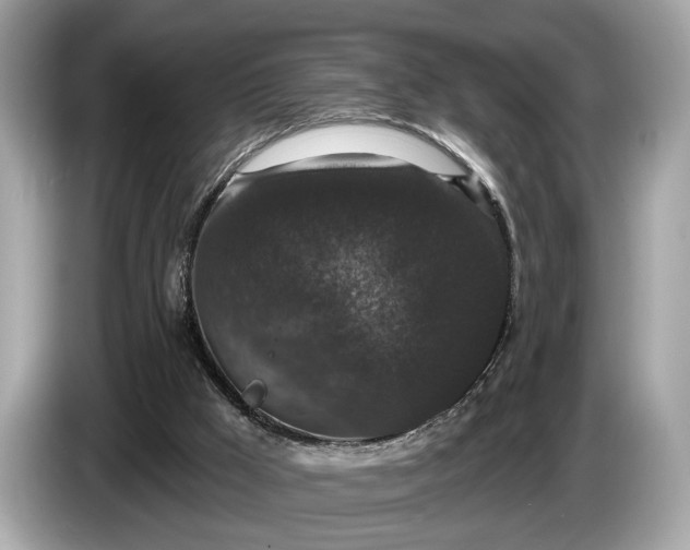 X0000085080009200703191335