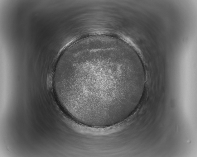 X0000085080010200703191335