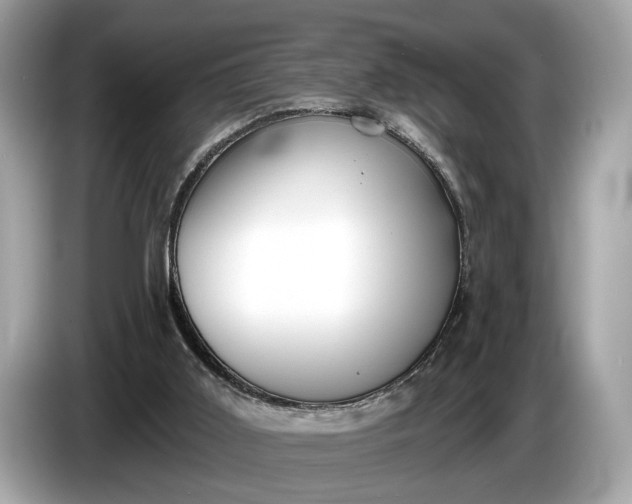 X0000085080011200703191335