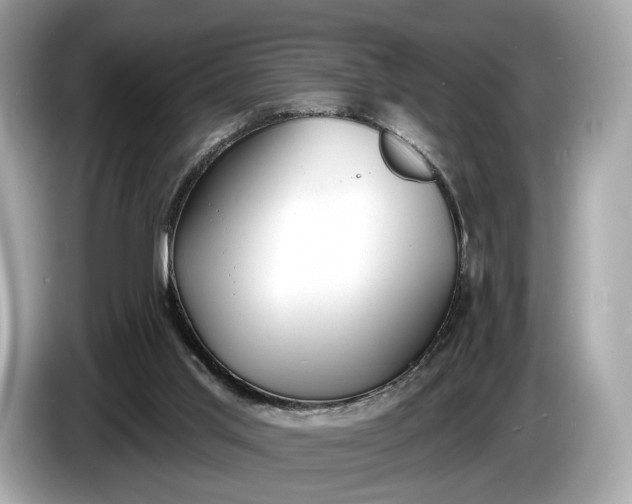 X0000085080013200703191335