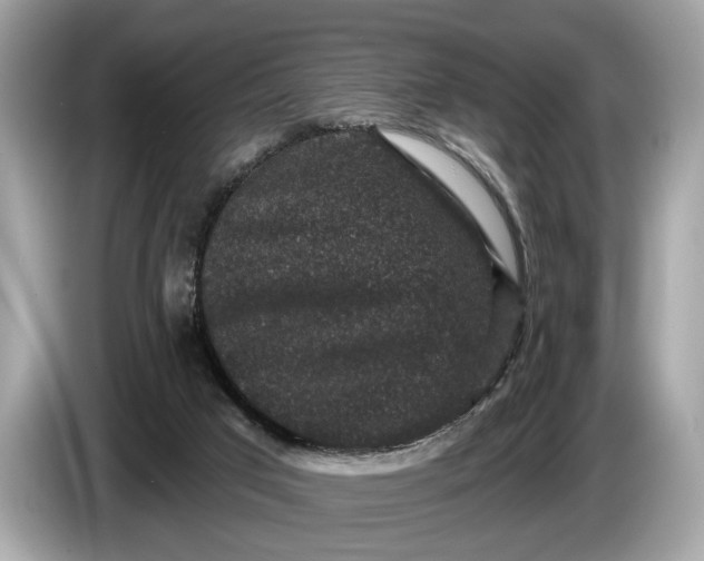 X0000085080017200703191335