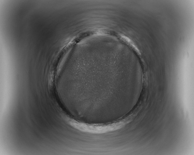 X0000085080018200703191335