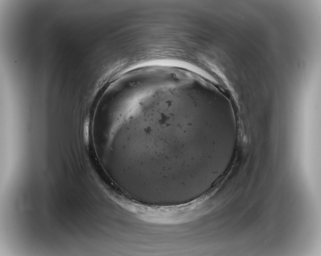 X0000085080019200703191335