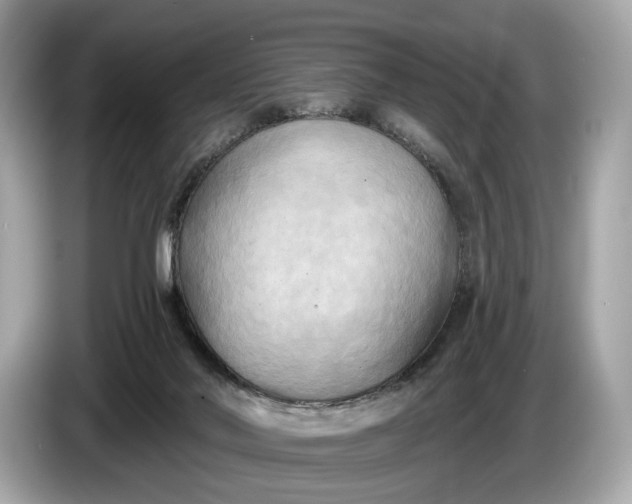 X0000085080022200703191335