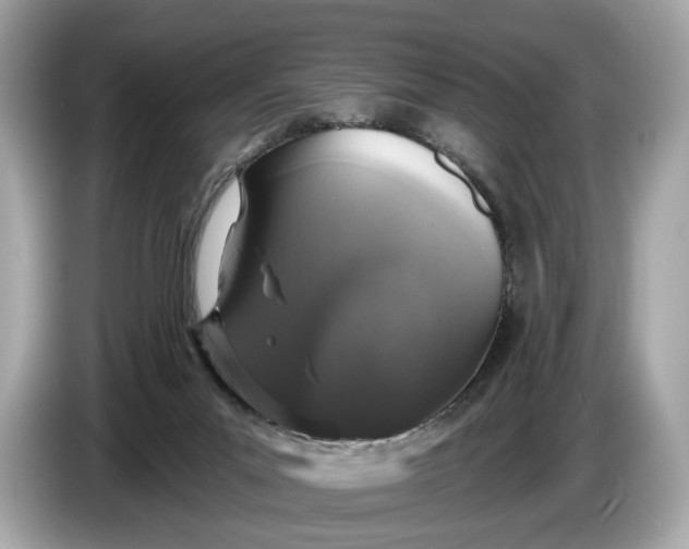 X0000085080023200703191335