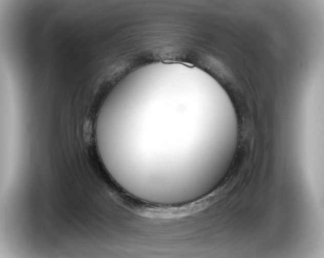 X0000085080025200703191335