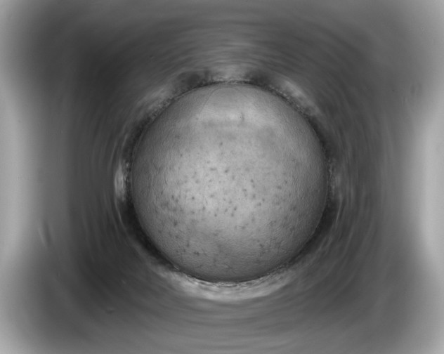 X0000085080026200703191335