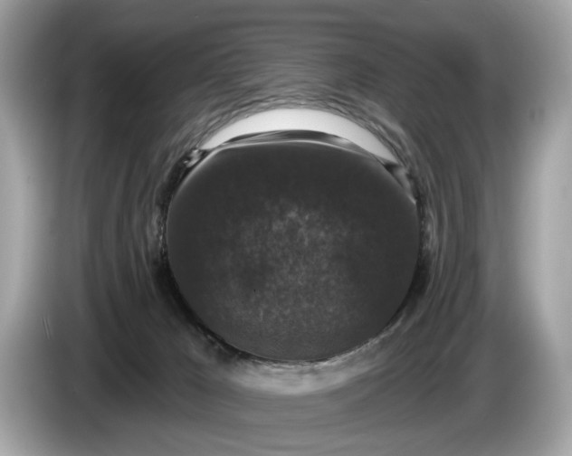 X0000085080029200703191335