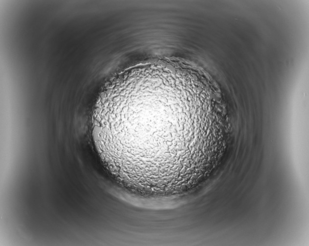 X0000085080032200703191335