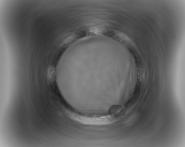 X0000085080036200703191335