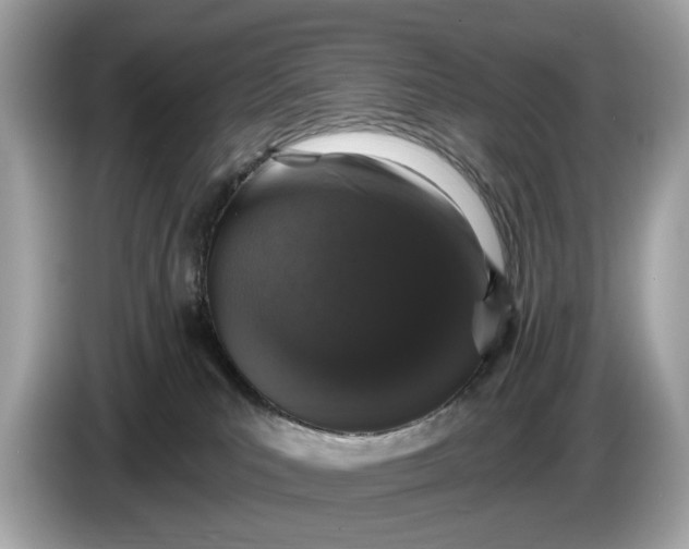 X0000085080039200703191335