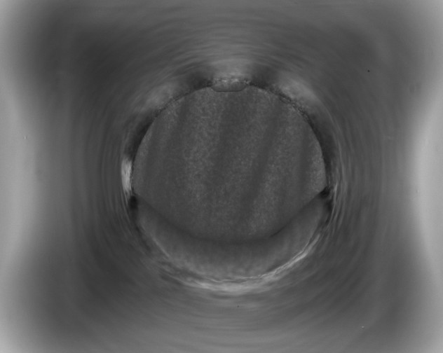 X0000085080041200703191335