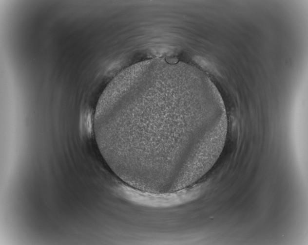 X0000085080042200703191335