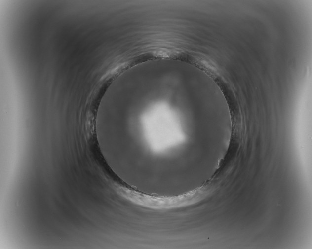 X0000085080043200703191335