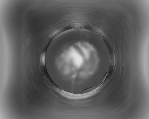 X0000085080047200703191335