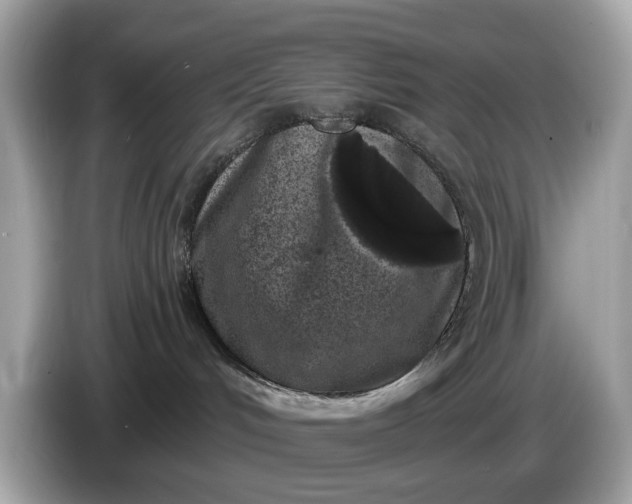 X0000085080048200703191335