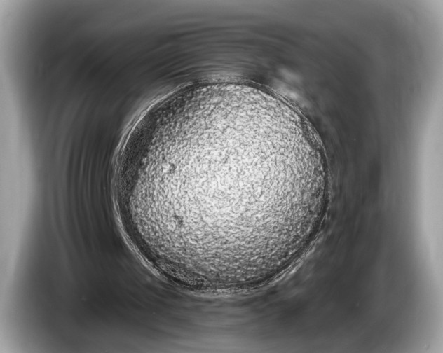 X0000085080049200703191334