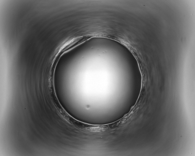 X0000085080050200703191334