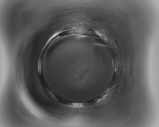 X0000085080052200703191334