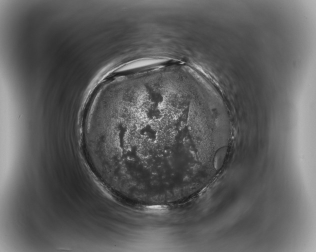 X0000085080053200703191334