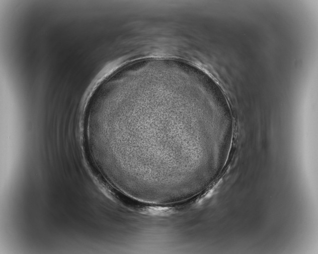 X0000085080055200703191334