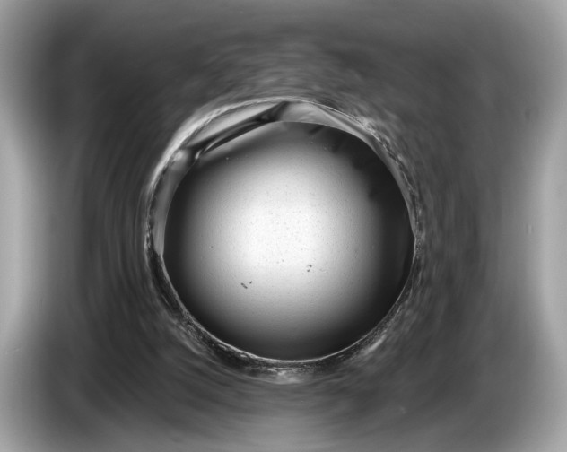 X0000085080056200703191334