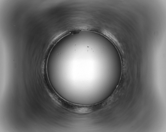 X0000085080058200703191334