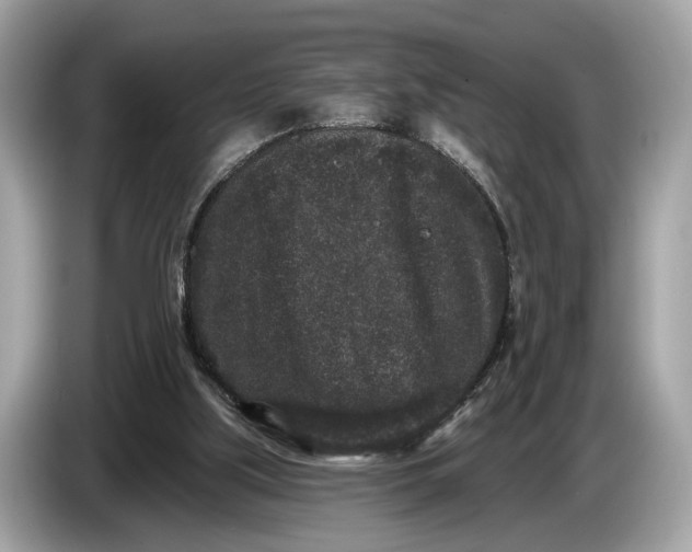 X0000085080059200703191334