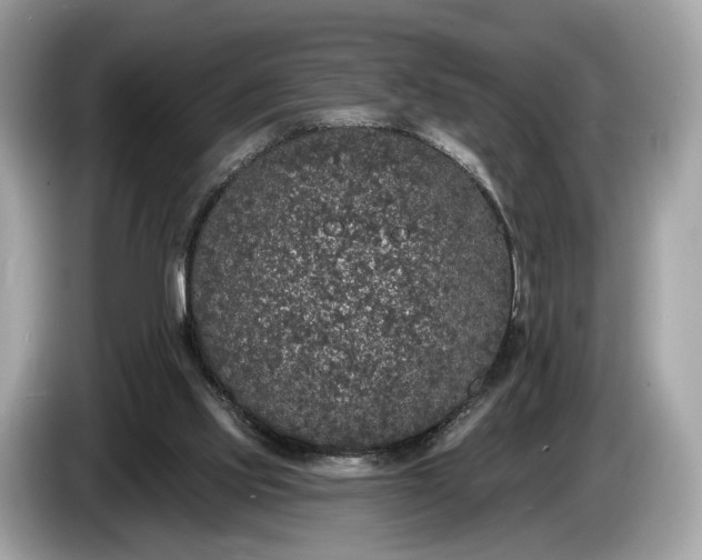 X0000085080061200703191334