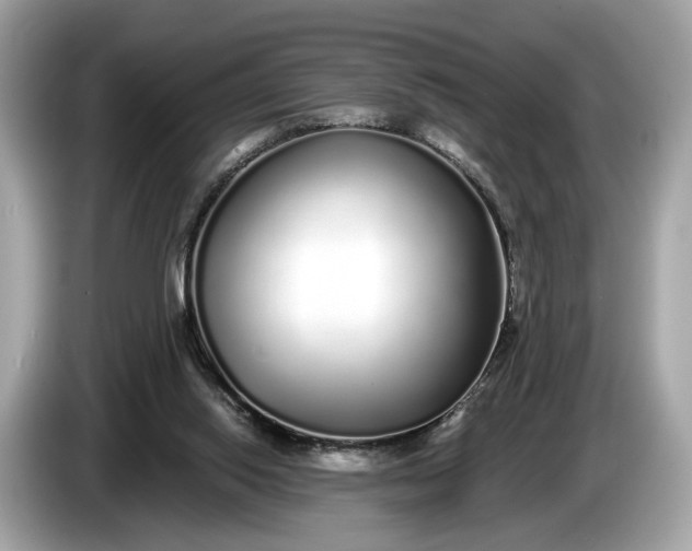 X0000085080062200703191334