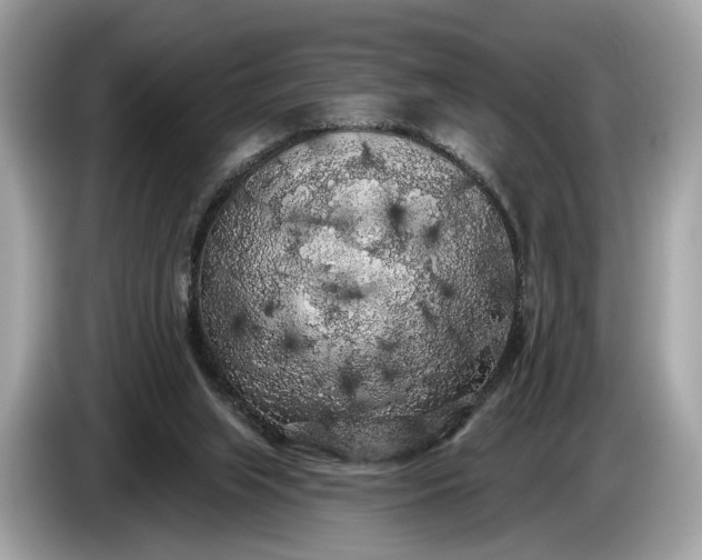 X0000085080063200703191334