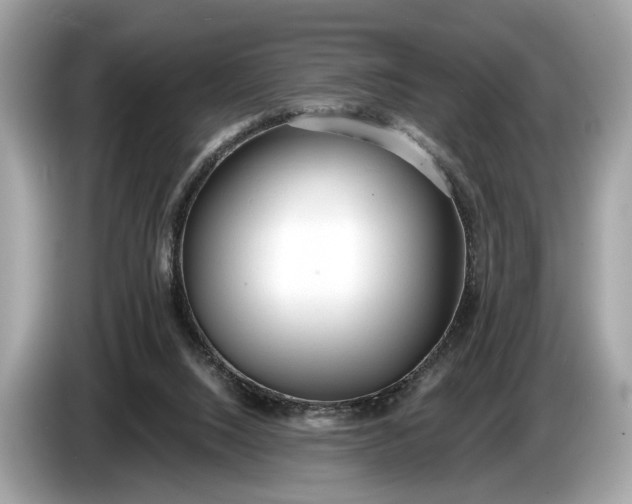 X0000085080064200703191334