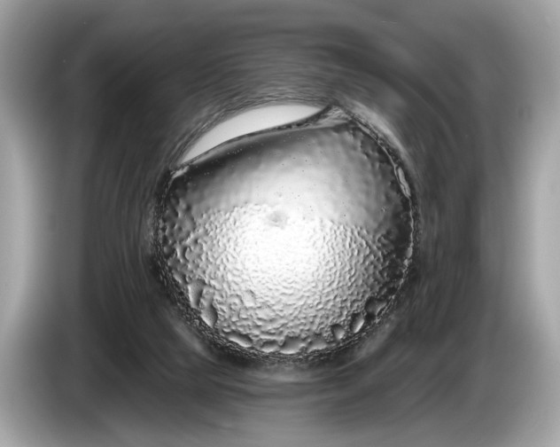 X0000085080065200703191334